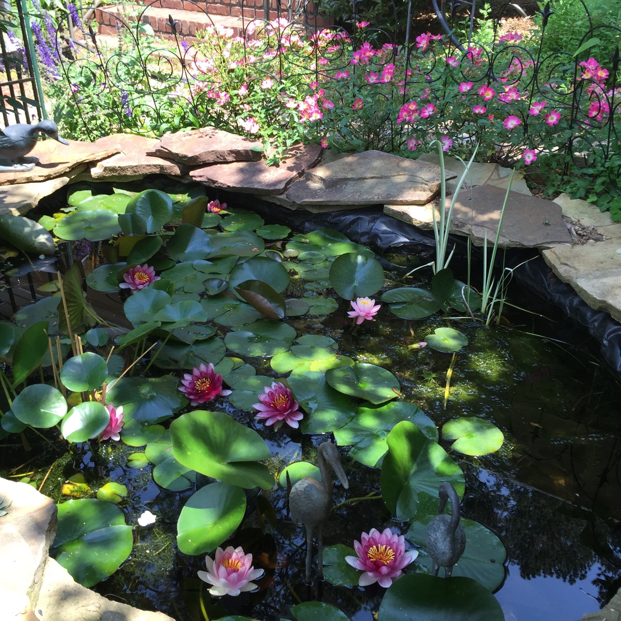 Carol’s Garden | Dunwoody North Civic Association